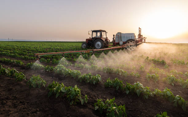 Best Commercial Pest Control Services  in Desert Aire, WA