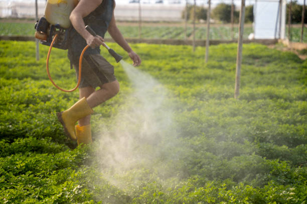 Pest Prevention Services in Desert Aire, WA