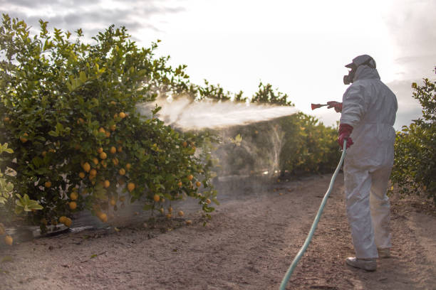 Best Best Pest Control Companies  in Desert Aire, WA