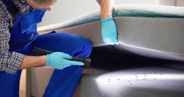 Best Termite Control Services  in Desert Aire, WA
