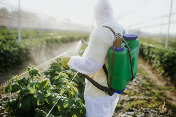 Best Wildlife Control Services  in Desert Aire, WA
